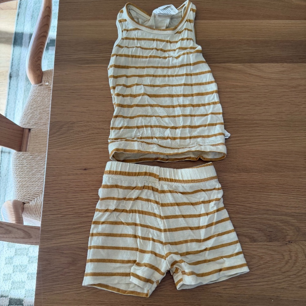 Chasing Windmills tank and short set